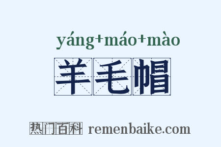 羊毛帽是什么意思的图片